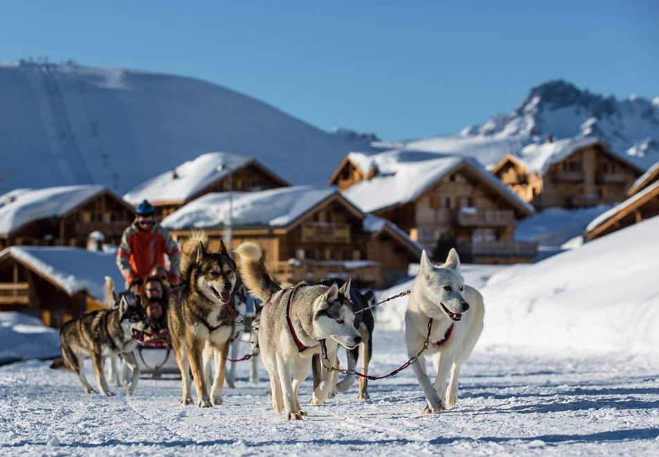 Alpe d'Huez Ski Resort (©Laurent-Salino) - Dog sledging