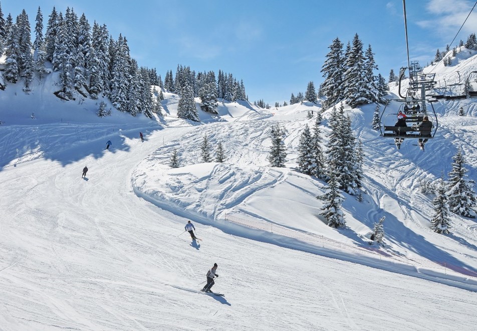 Areches-Beaufort tree-lined ski slopes